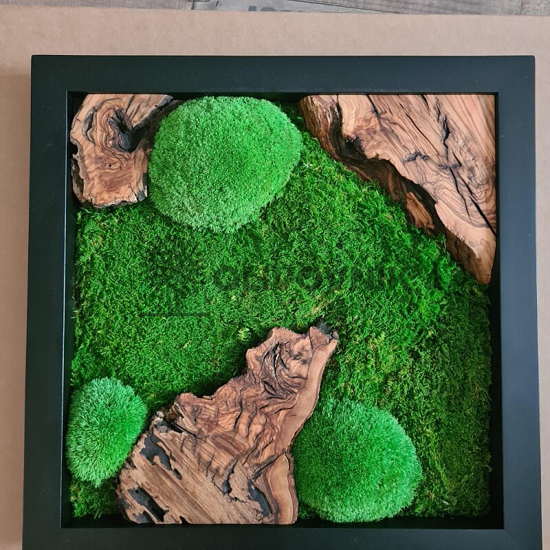Olivový obraz 40 x 40cm + stabilizovaný mech