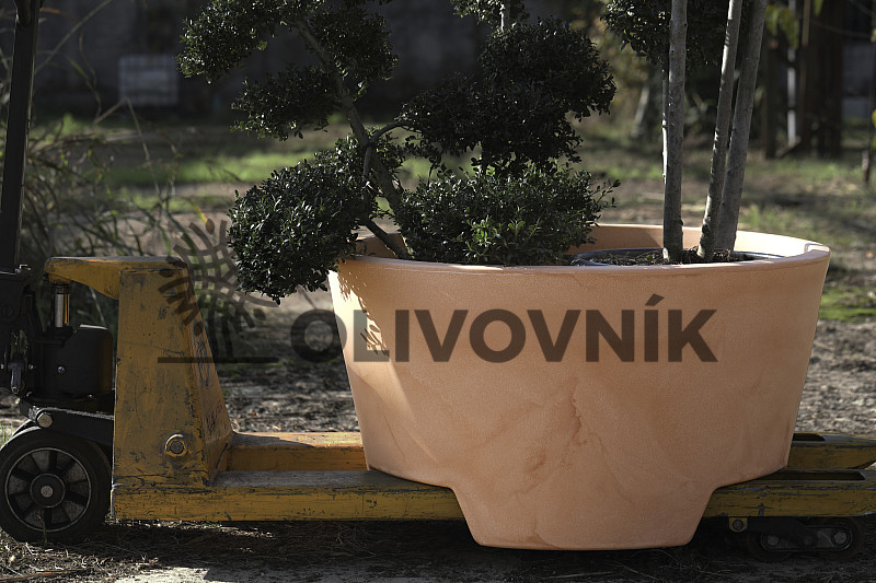 Květináč ERCOLINO Ø63cm - Pro Collection