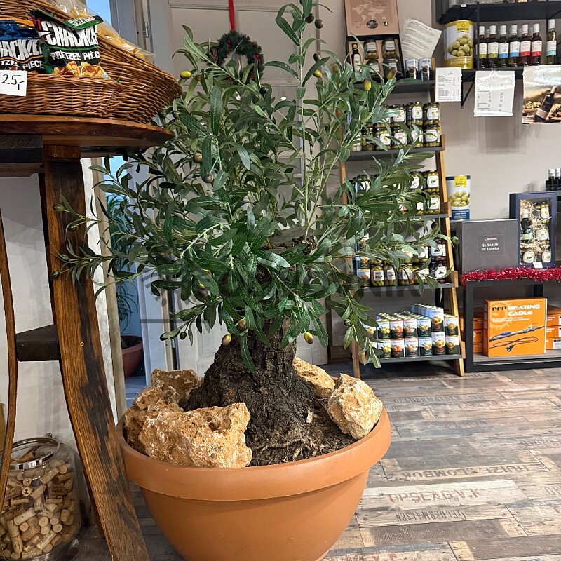Olivovník Evropský - Bonsai / 140cm / umělá koruna + olivový kmen