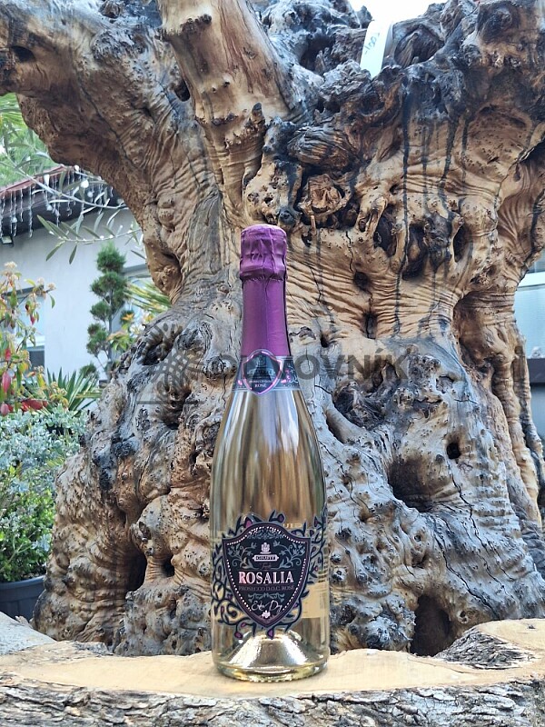ROSALIA DOC ROSÉ EXTRA DRY 0,75 l - prosecco - Giusti Wine