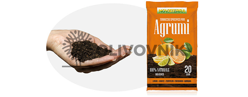 Substrát Agrumi profesional 20L - Substrát na citrusy