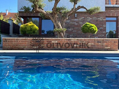 Olivovníky Bratislava
