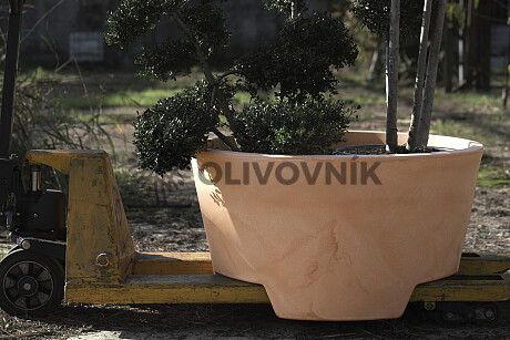 Květináč ERCOLINO Ø80cm - Pro Collection