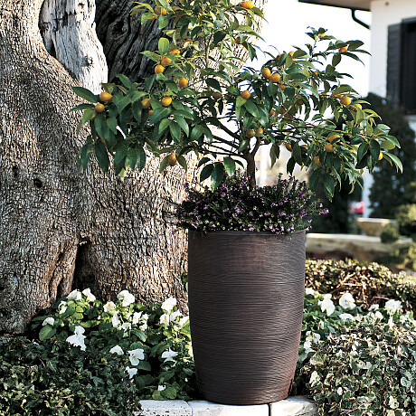 Květináč ORCHIDEA 45 CONICO