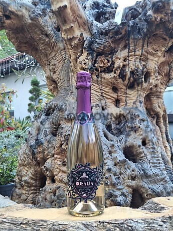 ROSALIA DOC ROSÉ EXTRA DRY 0,75 l - prosecco - Giusti Wine