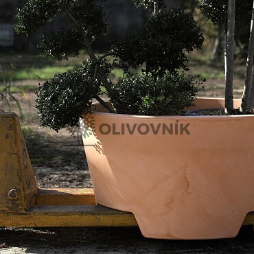 Květináč ERCOLINO Ø50cm - Pro Collection