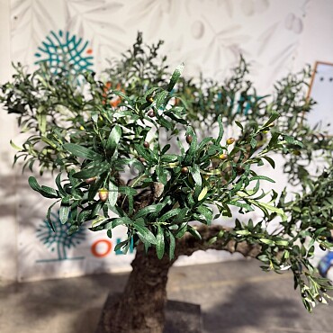 Olivovník Evropský - Bonsai / 155cm / umělá koruna + olivový kmen