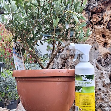 NEEM OIL - sprej 500ml