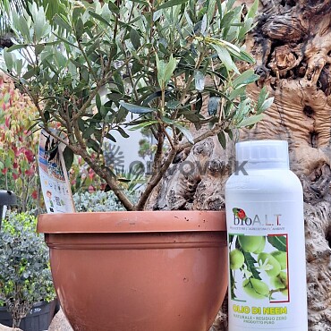 Olio de Neem - 100% Naturale