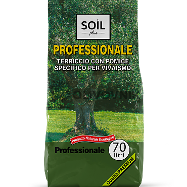 Olivovník Bonsai Q90 + pěstební set zdarma